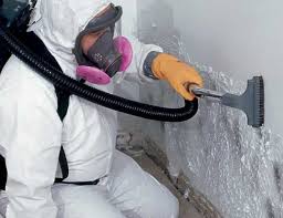 Professional Mold Remediation in Amarillo, TX